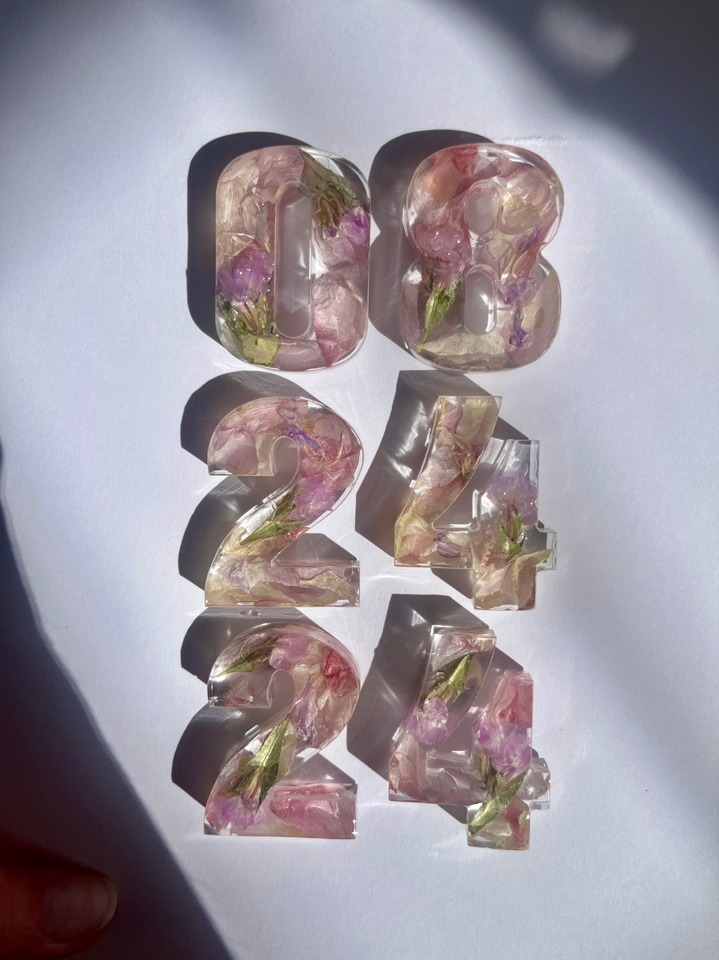 The First Chapter Collection